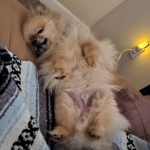 Meet your Posher, Wendelyn